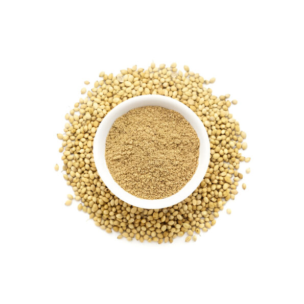Coriander powder being sprinkled on a dish to add flavor and aroma.