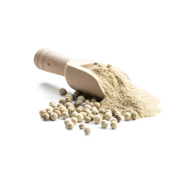 Eva Spices White Pepper Powder on a spoon.